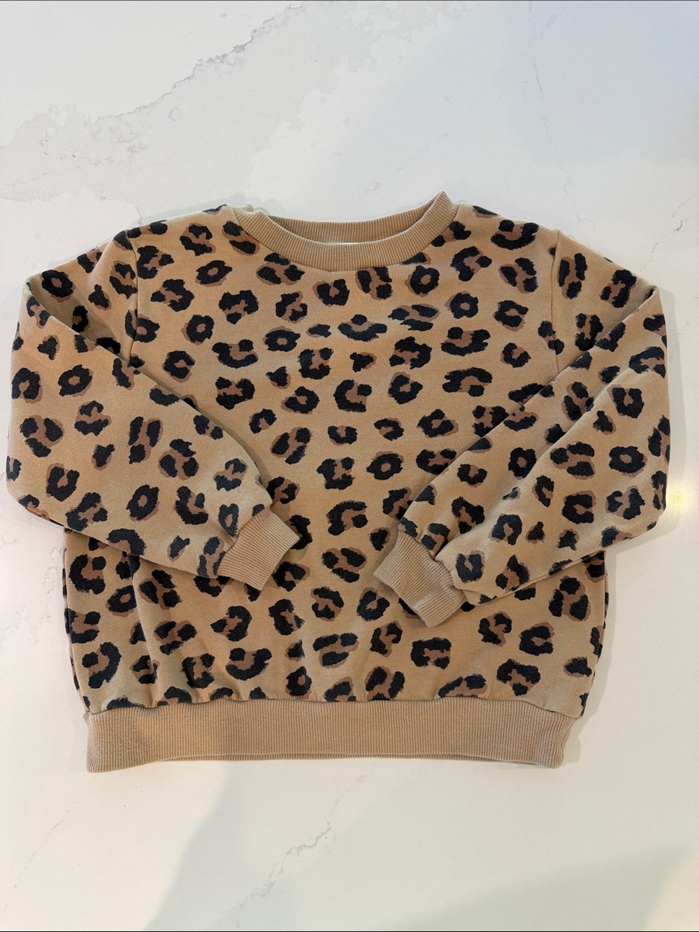 H&M Leopard Print Sweatshirt in Tan and Black